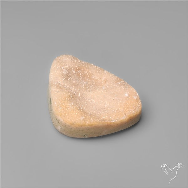 Rare Petrified Wood Druzy Arizona