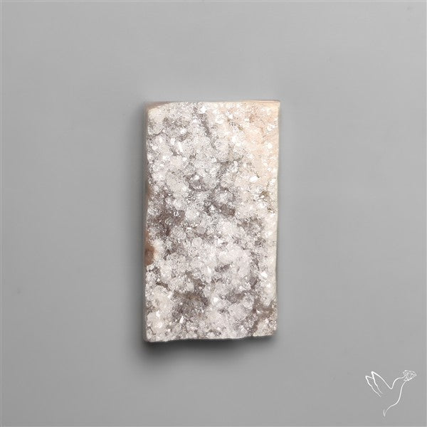 Rare Petrified Wood Druzy Arizona