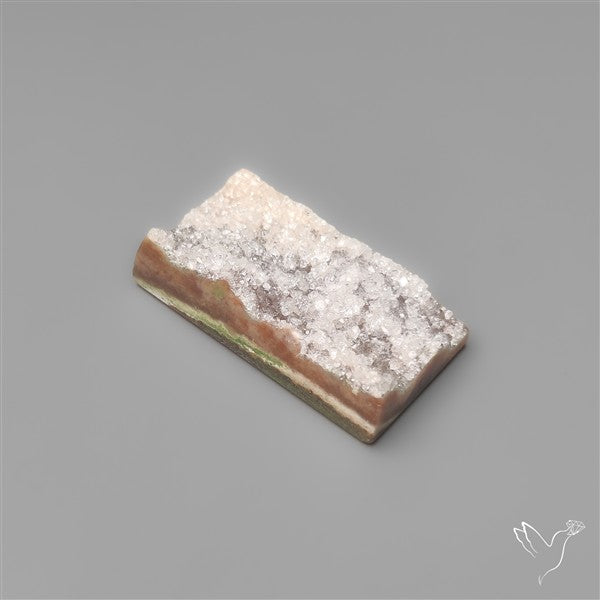 Rare Petrified Wood Druzy Arizona