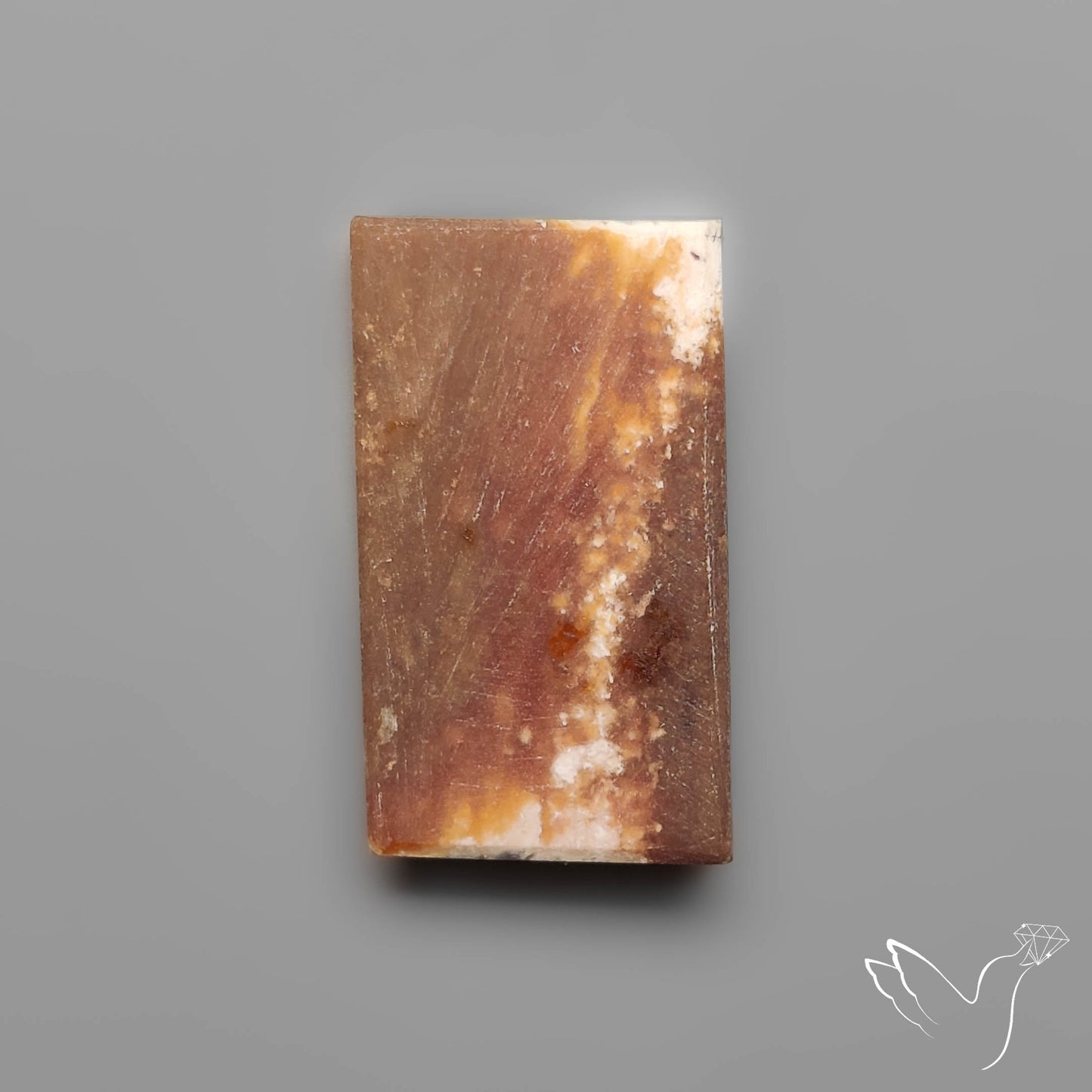 Rare Petrified Wood Druzy Arizona