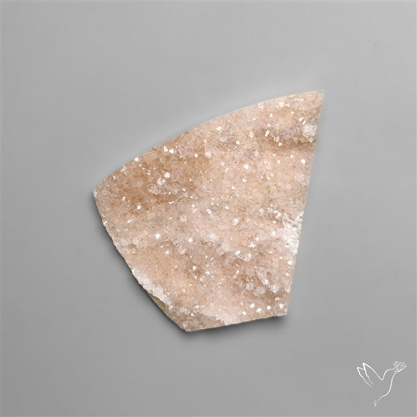 Rare Petrified Wood Druzy Arizona