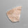 Rare Petrified Wood Druzy Arizona
