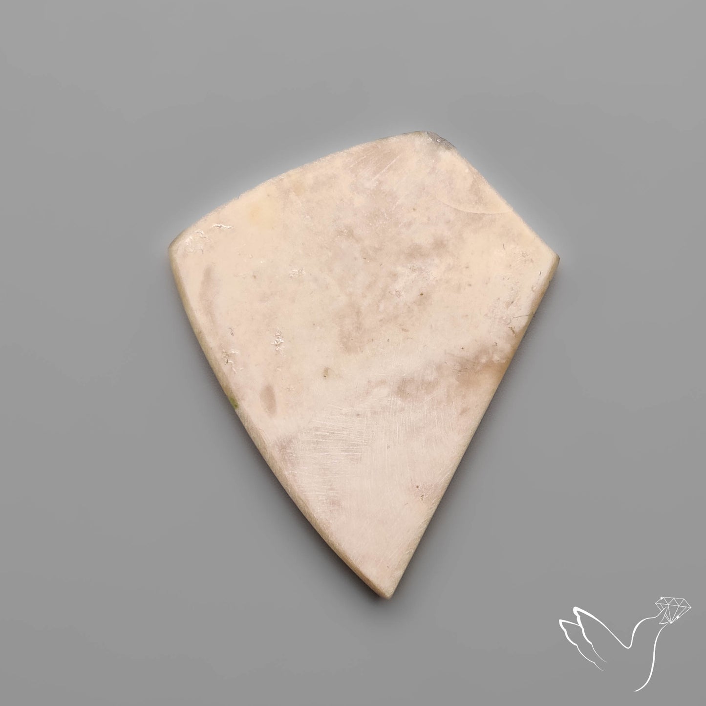 Rare Petrified Wood Druzy Arizona