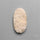 Rare Petrified Wood Druzy Arizona