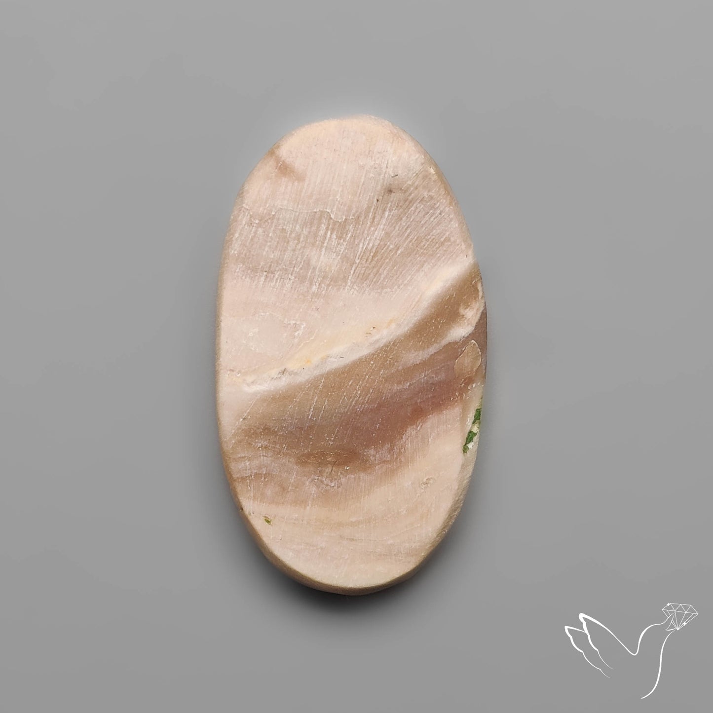 Rare Petrified Wood Druzy Arizona