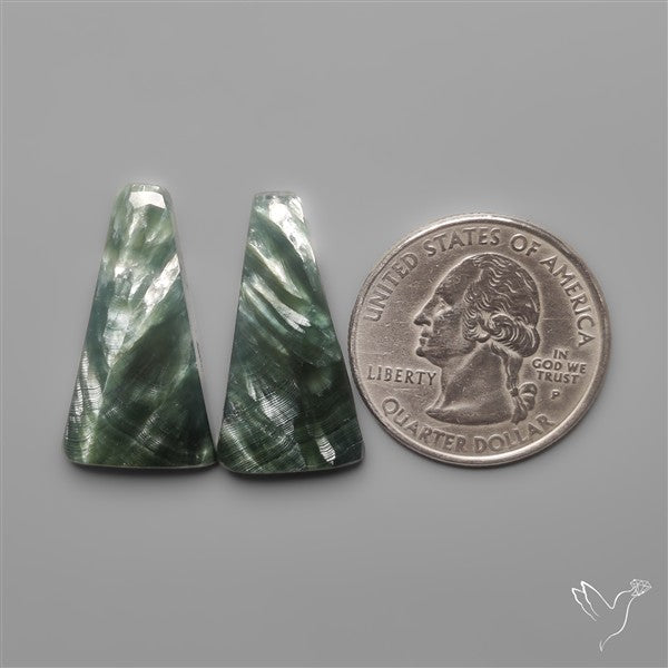 Seraphinites Pair