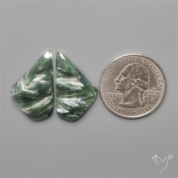 Seraphinites Pair