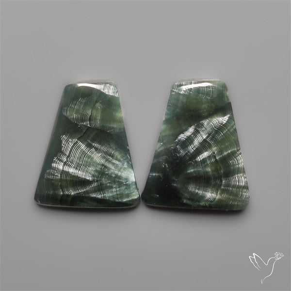Seraphinites Pair