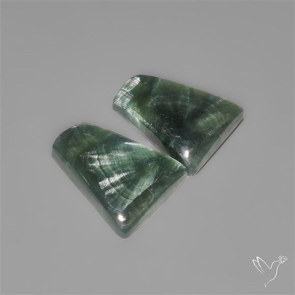 Seraphinites Pair