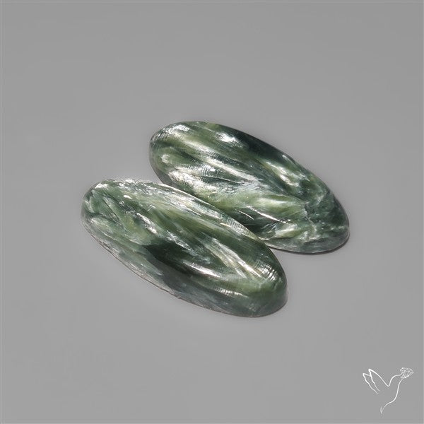 Seraphinites Pair