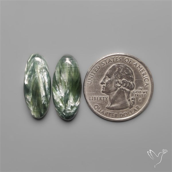 Seraphinites Pair