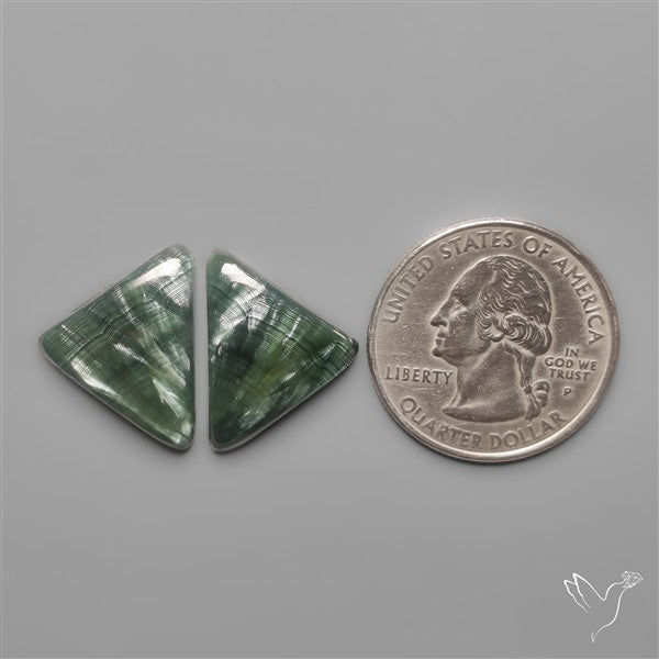 Seraphinites Pair