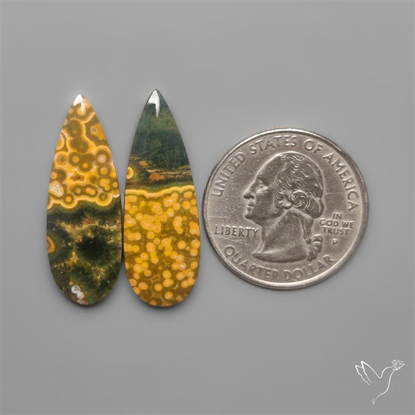Orbicular Ocean Jaspers Pair