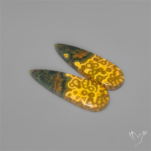 Orbicular Ocean Jaspers Pair