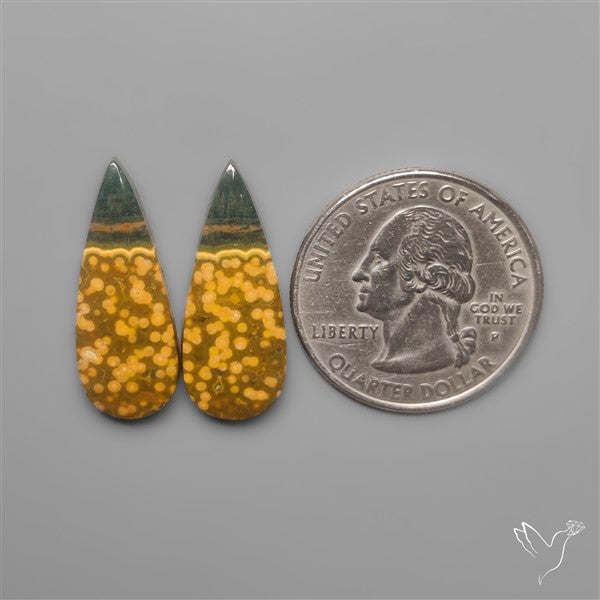 Orbicular Ocean Jaspers Pair