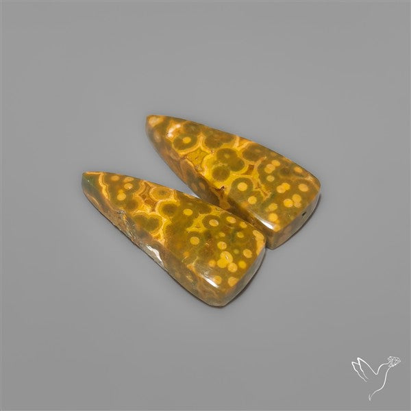 Orbicular Ocean Jaspers Pair