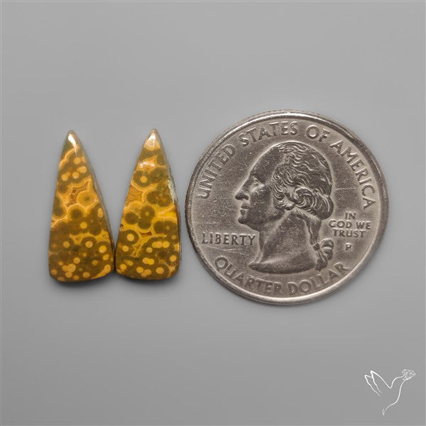 Orbicular Ocean Jaspers Pair