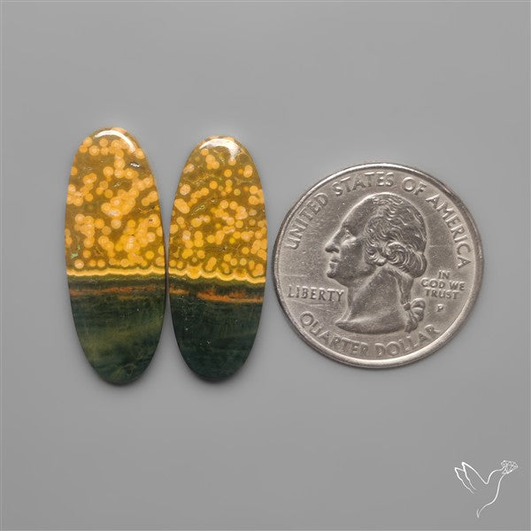 Orbicular Ocean Jaspers Pair