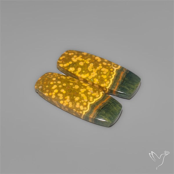 Orbicular Ocean Jaspers Pair