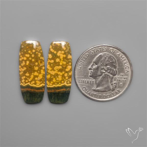 Orbicular Ocean Jaspers Pair