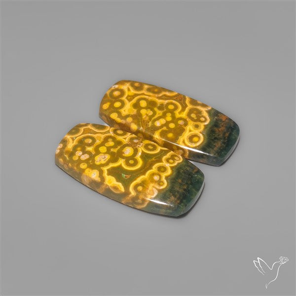 Orbicular Ocean Jaspers Pair