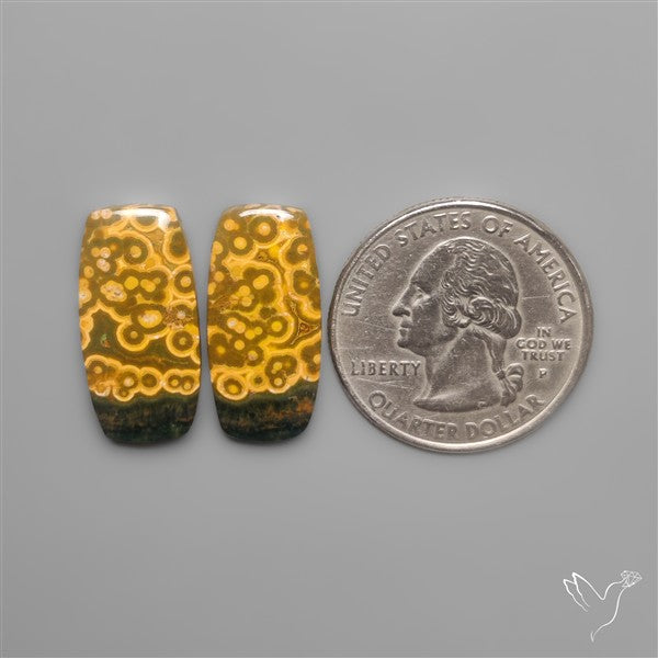 Orbicular Ocean Jaspers Pair