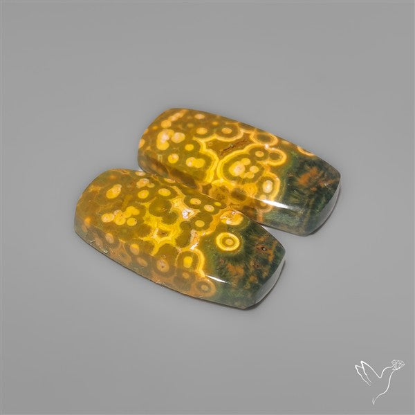 Orbicular Ocean Jaspers Pair