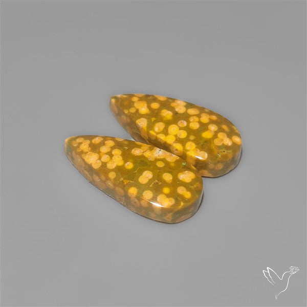 Orbicular Ocean Jaspers Pair
