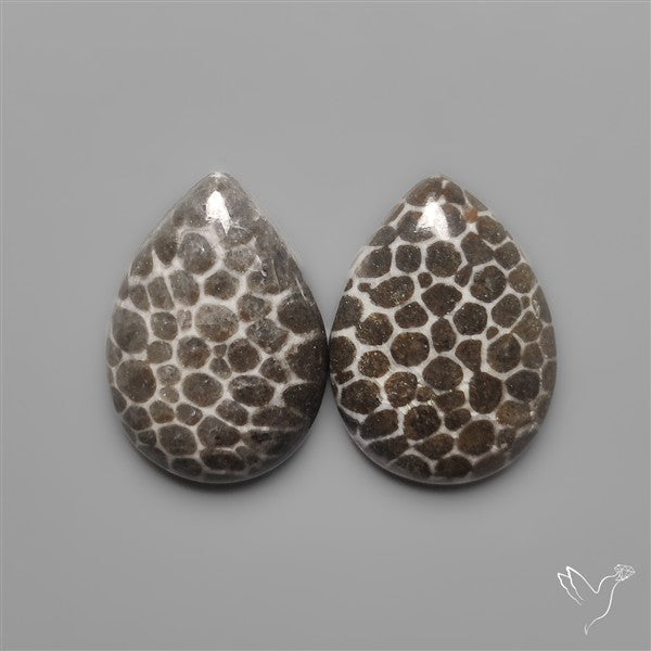 Stingray Black Fossil Corals Pair
