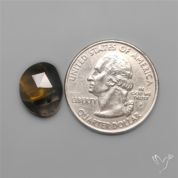 Rose Cut Pietersite
