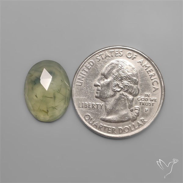 Rose Cut Black Tourmalinated Prehnite