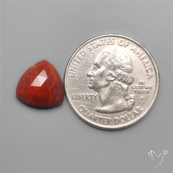 Rose Cut Red Moss