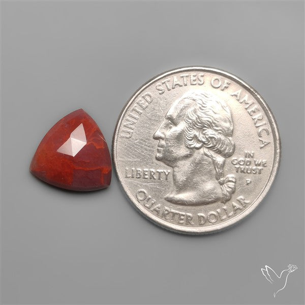Rose Cut Red Moss