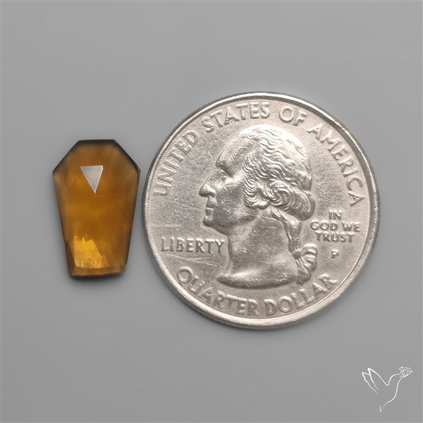 Rose Cut Beer Quartz Coffin