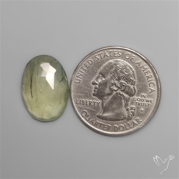 Rose Cut Black Tourmalinated Prehnite