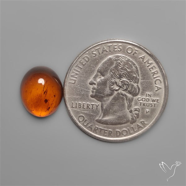 Baltic Sea Amber Cabochon
