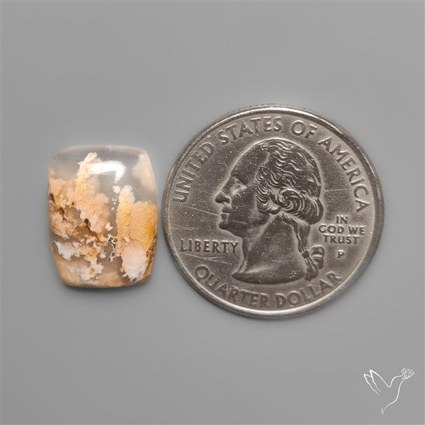 Northridge Plume Agate