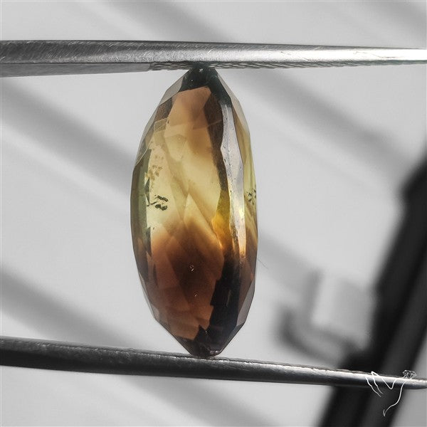 Faceted Rare Phantom Bicolor Lemon Smoky Quartz