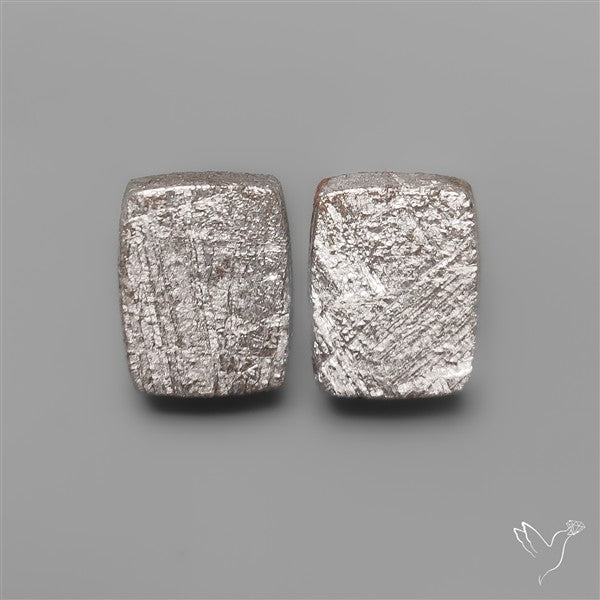 Rare Gibeon Meteorites Pair
