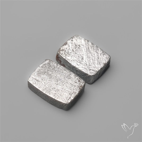 Rare Gibeon Meteorites Pair