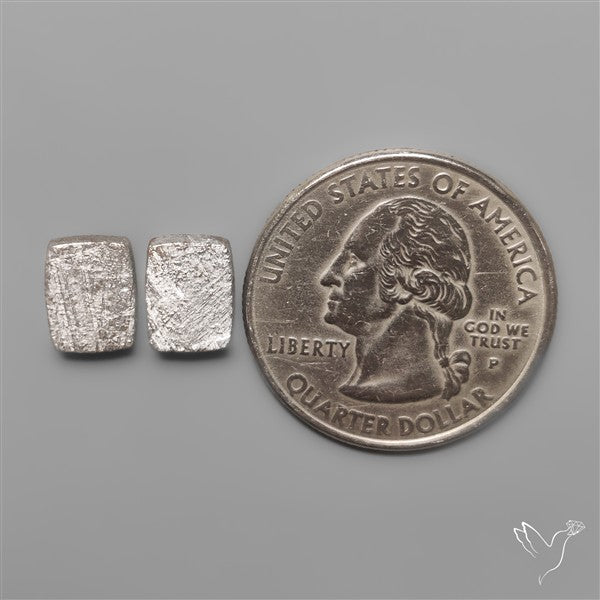 Rare Gibeon Meteorites Pair