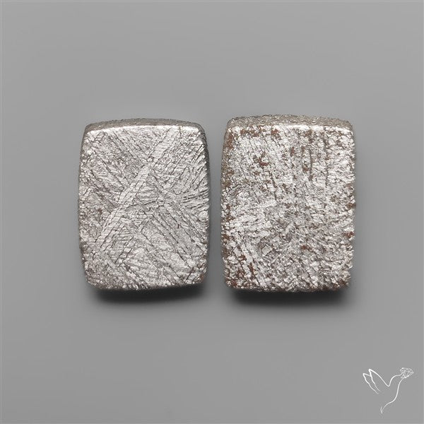 Rare Gibeon Meteorites Pair