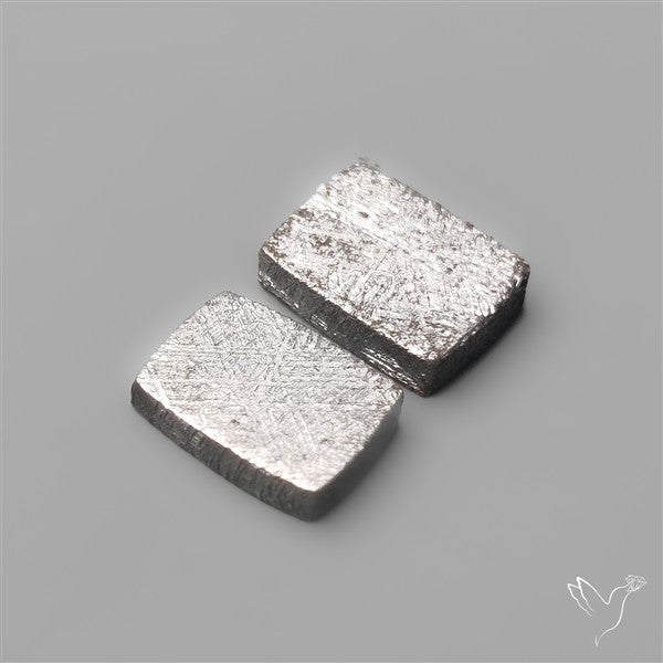Rare Gibeon Meteorites Pair