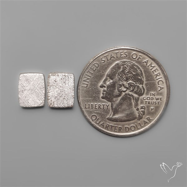 Rare Gibeon Meteorites Pair