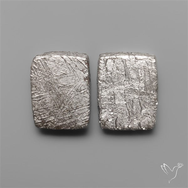 Rare Gibeon Meteorites Pair