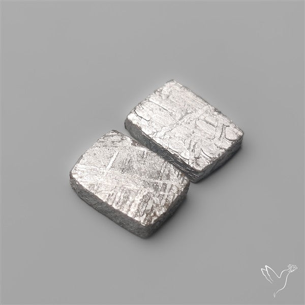 Rare Gibeon Meteorites Pair