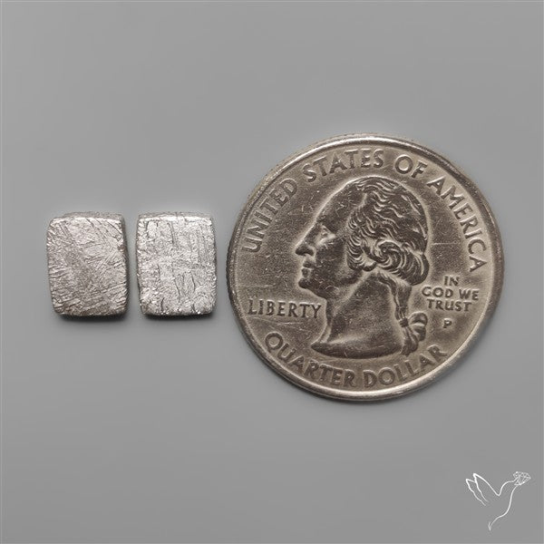 Rare Gibeon Meteorites Pair