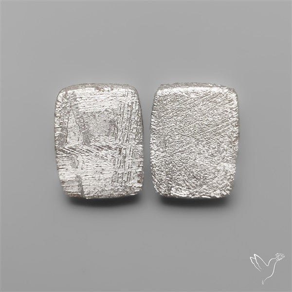 Rare Gibeon Meteorites Pair