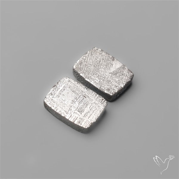 Rare Gibeon Meteorites Pair
