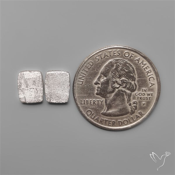 Rare Gibeon Meteorites Pair